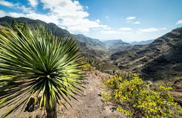 Mountains natural scenery - Gran Canaria - obrazy, fototapety, plakaty