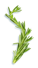  twig of fresh rosemary