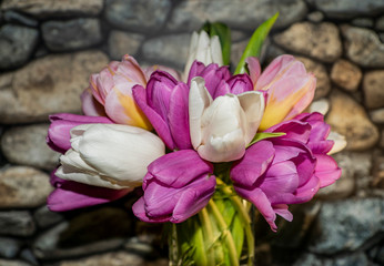 still life, etude, background, crystal, transparent, glass, bouquet, flowers, buds, white, pink, lilac, tulips, green, leaves