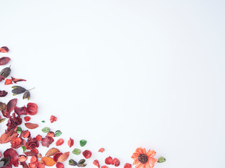 Colorful petal of dried flowers potpourri background.