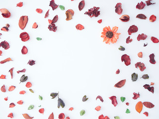 Colorful petal of dried flowers potpourri background.