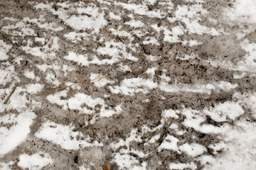 Dirty snow spring background. Old and dirty snow texture. Natural background. Snow mixed with coal soot, poor ecology. Environmental pollution.