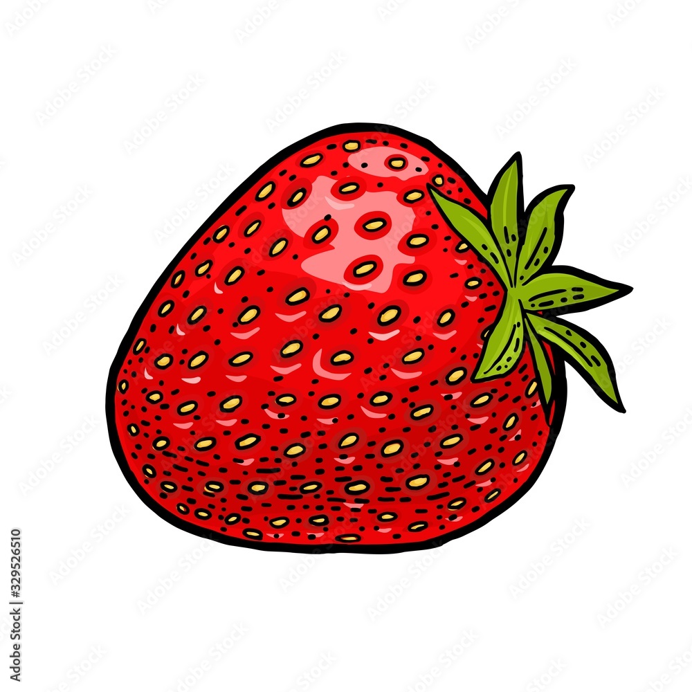 Wall mural whole strawberry. engraving vintage vector color illustration.