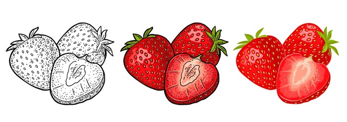 Whole and slice strawberry. Vector engraving and flat icon