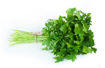 Fresh bunch of green parsley