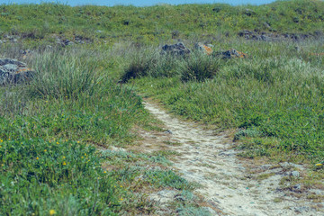 Landscape background- aged architecture