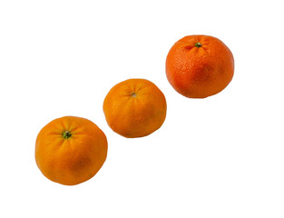 Oranges and tangerines close-up. Isolated image. Citrus fruits on a white background.