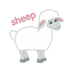 White sheep illustration for children