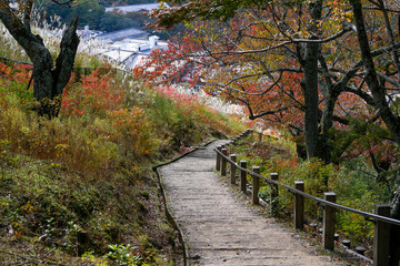 Beautiful Nara mountain at Nara city, Japan. Nara park is a famous place landmark