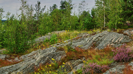 Panoramic view of the city of Sortavala from a hill in a city park: a forest of conifers, traces of volcanic lava, rocks and volcanic rocks. Russia,Karelia,Sortavala.Panorama of the city from a height