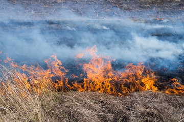 Fire on the field, countryside.