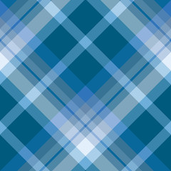 Seamless pattern in great beautiful light and dark blue and white  colors for plaid, fabric, textile, clothes, tablecloth and other things. Vector image. 2