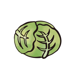 野菜：キャベツ（水彩・筆）