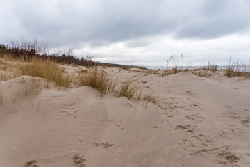 Sand Dunes at a Baltic Sea Beach with Waves in the Winter