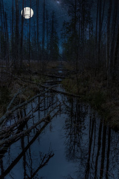 Moon over a Wetland at Night
