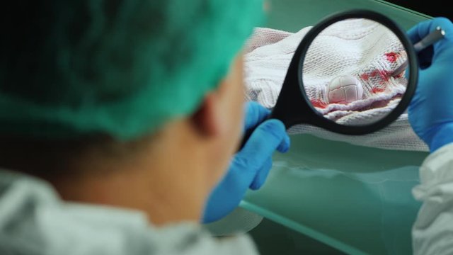Rear vie of Male crime lab worker examines evidence on clothes