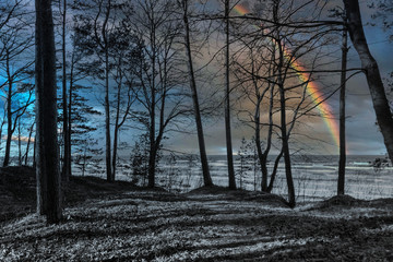 Rainbow at a Forest at a Baltic Sea Beach with Waves in the Winter