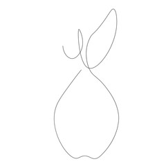 Pear fruit line drawing vector illustration
