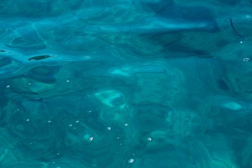 snorkelling aux Seychelles