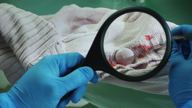 Investigator's hands with magnifying glass, examines traces of blood on clothes