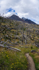 forest fire in the towers of paine chile