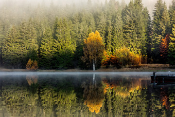 Beautiful autumn landscape with golden and copper colored trees in the morning mist reflected in the lake, Sfanta Ana Lake, Harghita, Romania