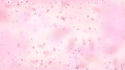 Nice Sakura Blossom Isolated Vector. Magic Blowing 3d Petals Wedding Design. Japanese Blurred Flowers Wallpaper. Valentine, Mother's Day Summer Nice Sakura Blossom Isolated on Rose