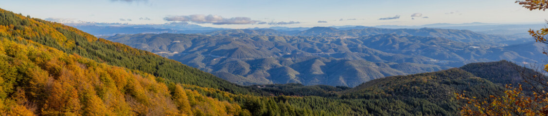 Nice beech forest in autumn in Spain, mountain Montseny