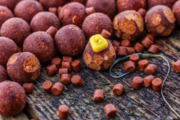 Carp fishing chod rig.The Source Boilies with fishing hook. Fishing rig for carps, boilie rig, near the lake on a piece of wood - obrazy, fototapety, plakaty