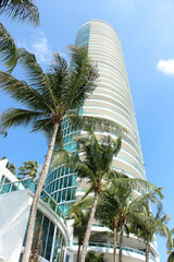 Fototapeta na wymiar palm trees on beach with blue sky , skyscraper in a background.