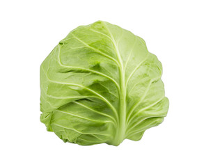 Fototapeta premium Cabbage isolated on white background with clipping path