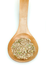 Rice integral in wooden spoon