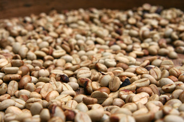seeds background