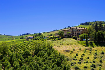 Fototapeta na wymiar Countryside of Barolo, famous wine production city of Langhe, Piedmont, Italy