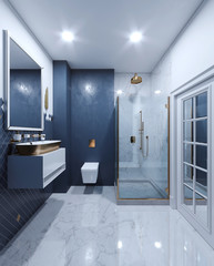 interior render  WC