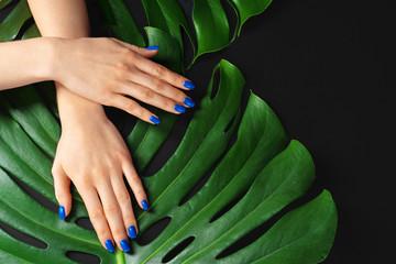 Female hand with classic blue color nails manicure on monstera leaf. Creative photo
