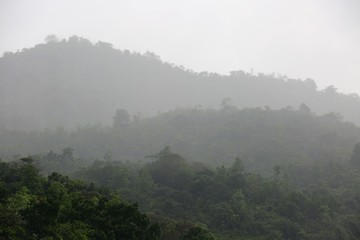 paysage de brume aux Seychelles