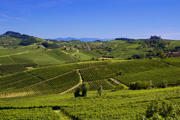 Countryside of Barolo, famous wine production city of Langhe, Piedmont, Italy