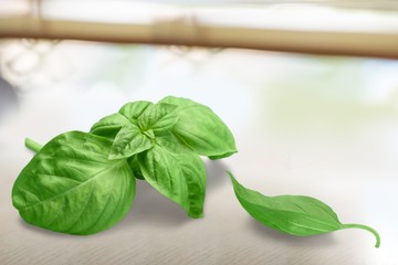 Basil.