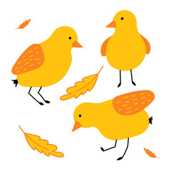 Cute yellow chicken standing on two legs. Chick has beak, wings, tail, plumage and eyes. Friendly bird. Decorative design element for children prints and cards. Flat vector illustratio