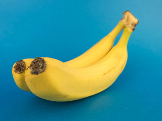 two bananas on a blue background