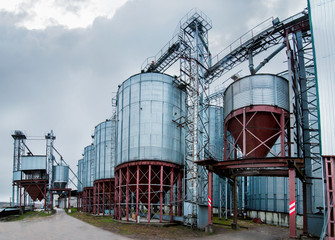 Obraz premium Storing grain in a group of corrugated steel granaries. Point of cleaning, drying and storage of cereals. agro granary in spring season. Agricultural business.