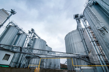 Fototapeta premium Point of cleaning, drying and storage of cereals. Agricultural business. Storing grain in a group of corrugated steel granaries.