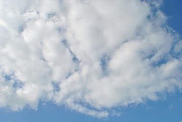 Palm trees in clear blue sky