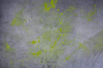 Matcha tea powder on concrete background