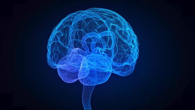 Rotating human brain. Glowing blue light line of human brain model. Seamless looping motion animated neurons in 3d virtual space.