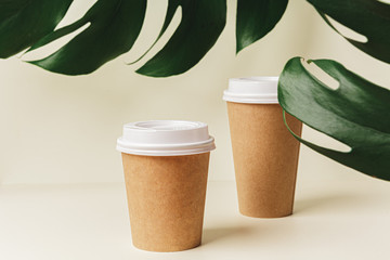 Disposable paper coffee cup and green leaf. Ecology concept