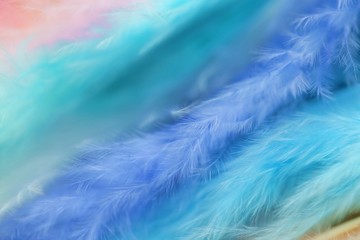 Fototapeta na wymiar Feathers texture in pastel colors.Blue, turquoise feathers set background.Soft focus. multicolored Fluffy soft background. lightness and softness.
