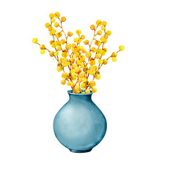 Bouquet of spring mimosa flowers in a blue vase. Hand watercolor illustration isolated on white background. Design of wedding and festive products, International Women's Day, Easter.