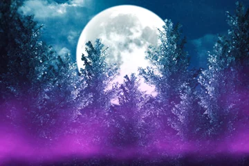 Papier Peint photo autocollant Pleine Lune arbre Fond de forêt d& 39 hiver abstrait sombre. Parquet, neige, brouillard. Fond de nuit sombre dans la forêt au clair de lune. Vue de nuit, magie